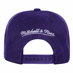 Los Angeles Lakers Youth 50th Anniversary Duo Front Snapback Hat Purple