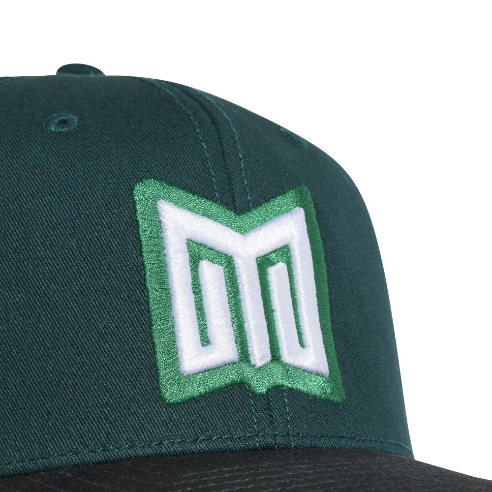 Mexico National Team Unisex FIFA x World Cup Team Snapback Hat Green