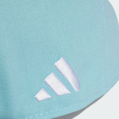 Argentina National Team Unisex FIFA x World Cup Team Snapback Hat Light Blue