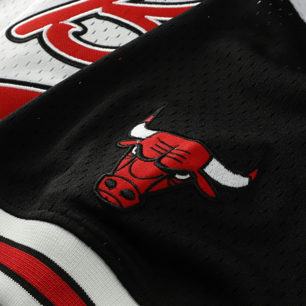 Scottie Pippen Chicago Bulls Player Mesh V-Neck Shirt White