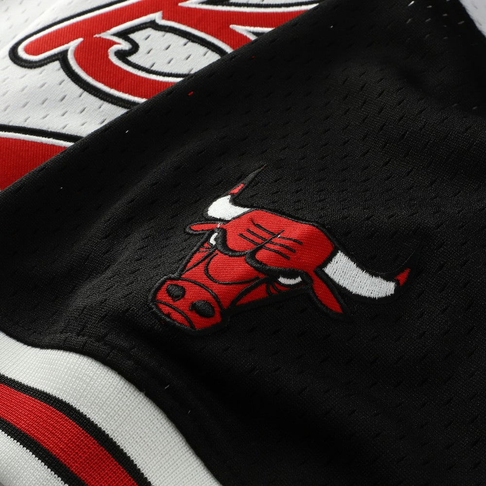 Scottie Pippen Chicago Bulls Player Mesh V-Neck Shirt White