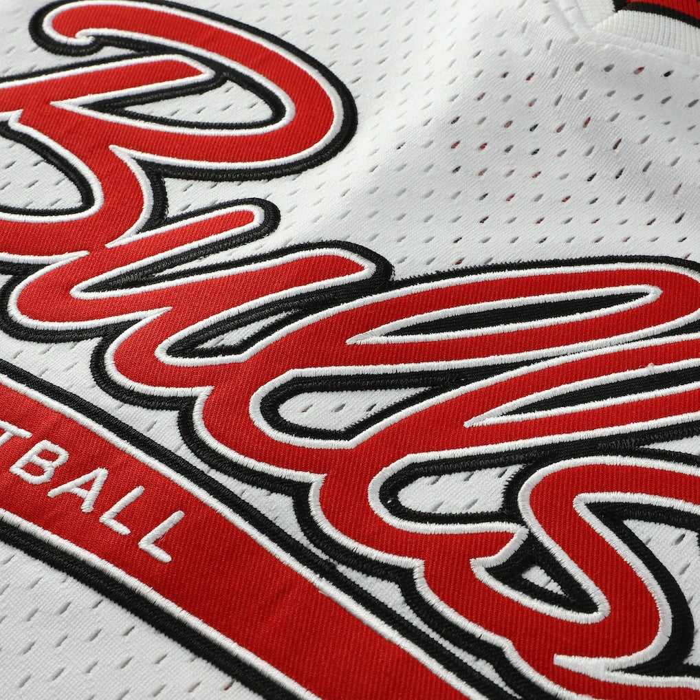 Scottie Pippen Chicago Bulls Player Mesh V-Neck Shirt White