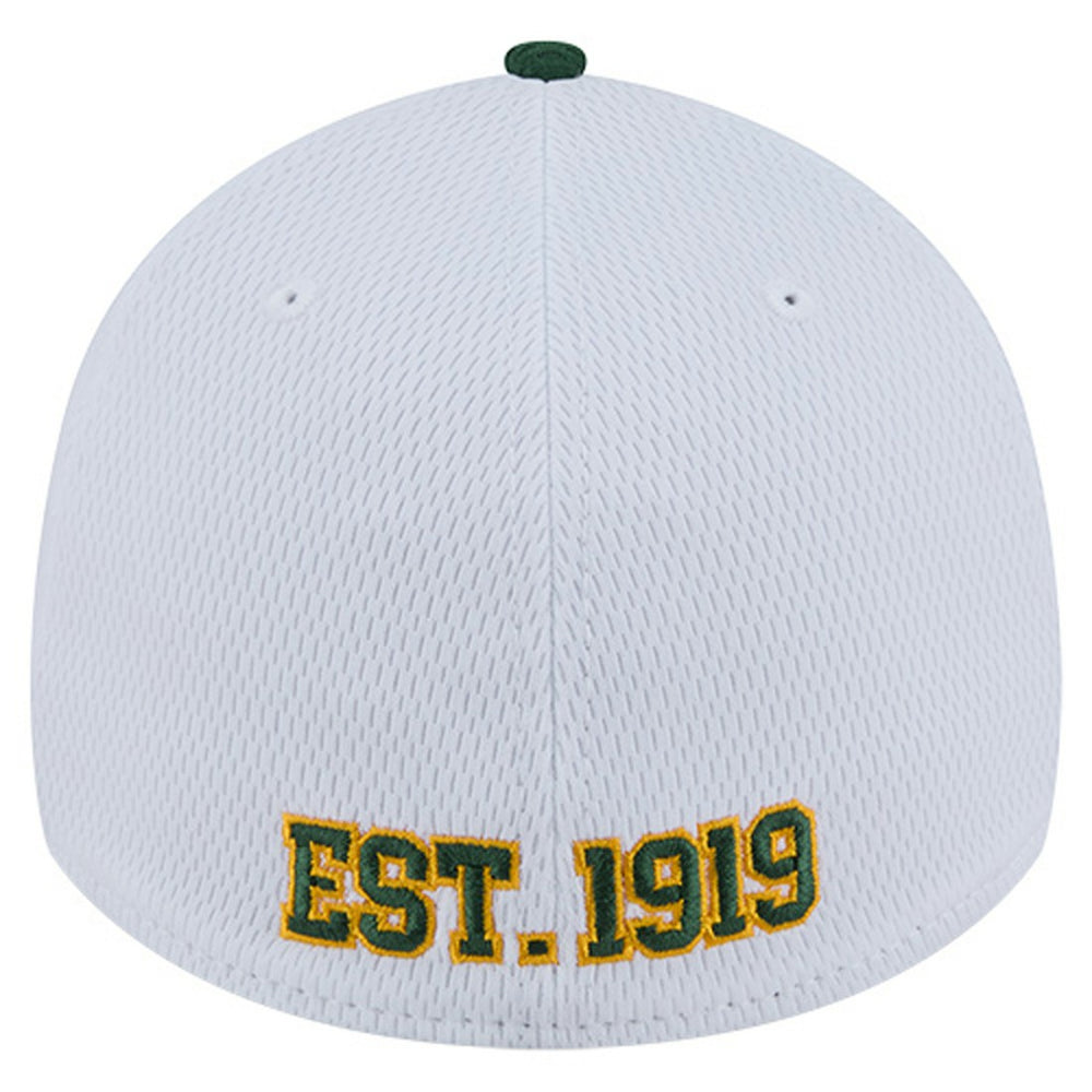 Green Bay Packers New Era Dashmark Rays 39THIRTY Flex Hat White/Green