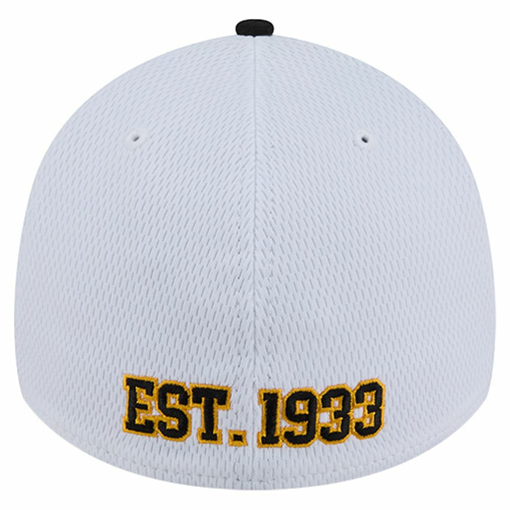 Pittsburgh Steelers New Era Dashmark Rays 39THIRTY Flex Hat White/Black