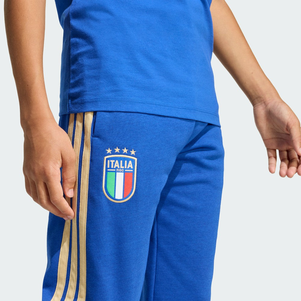 Italy National Team Youth FIFA x World Cup Alphaskin Pants Blue sale