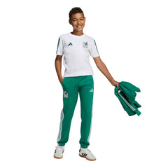 Mexico National Team Youth FIFA x World Cup Alphaskin Pants Green