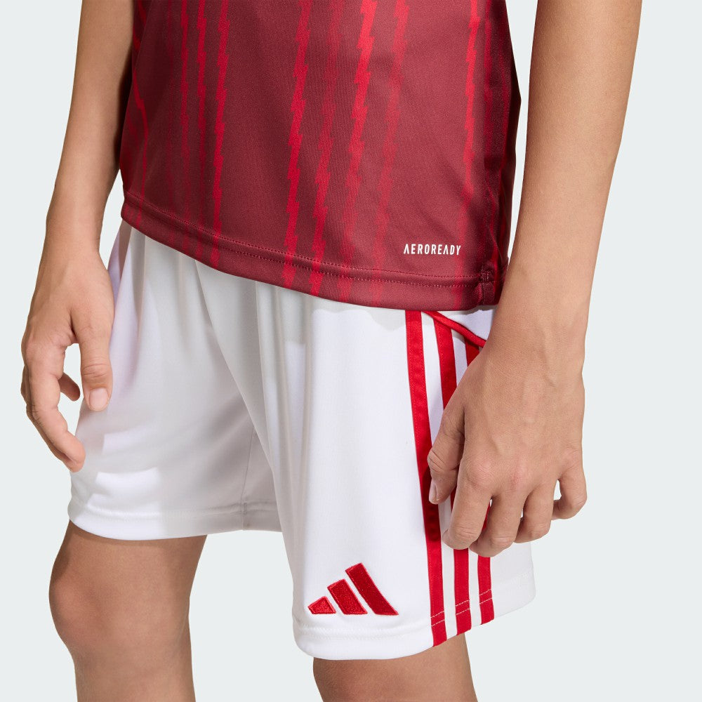 Arsenal Youth 2025/26 Pre-Match Training Jersey Red shop