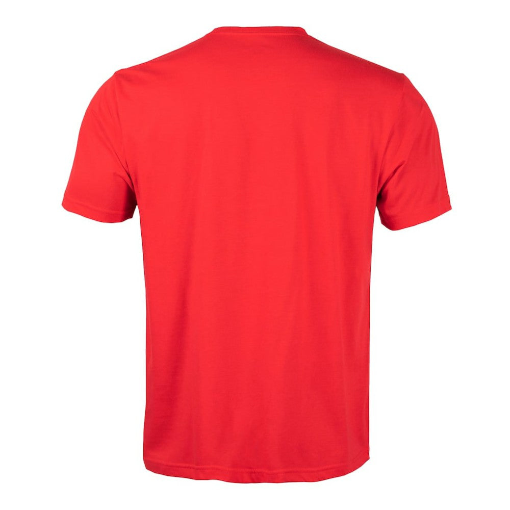 NHL Carolina Hurricanes Levelwear Richmond Banner Arch T-Shirt - Red