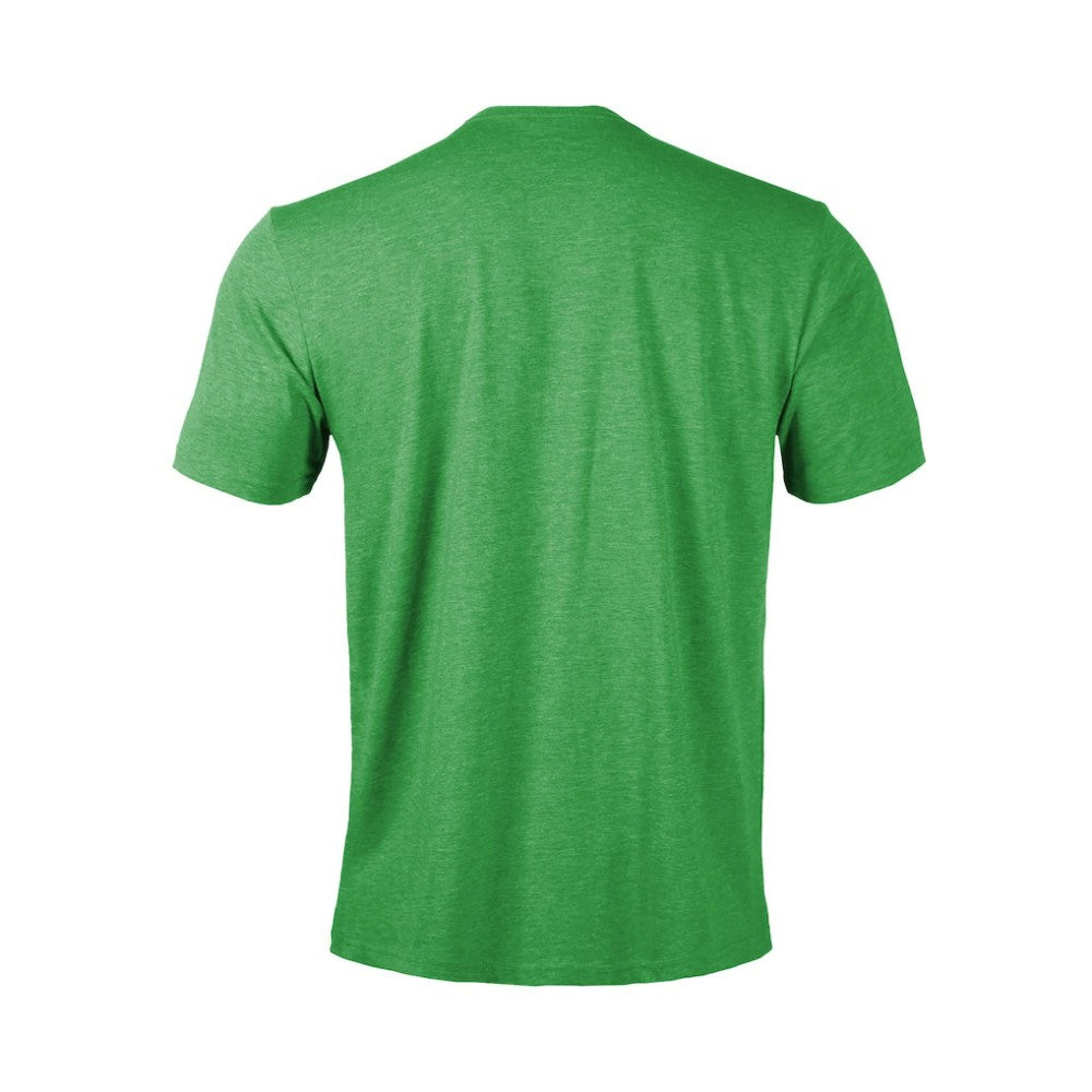 NHL Dallas Stars Levelwear Youth Little Richmond Banner Arch T-Shirt - Green