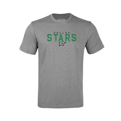 NHL Dallas Stars Levelwear Youth Little Richmond Carve T-Shirt - Gray