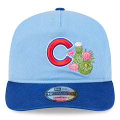 Chicago Cubs New Era 2026 Spring Training 19TWENTY Adjustable Hat - Light Blue/Royal Hats