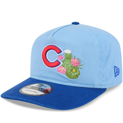 Chicago Cubs New Era 2026 Spring Training 19TWENTY Adjustable Hat - Light Blue/Royal Hats