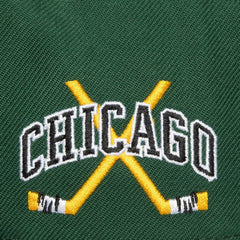 NHL Chicago Blackhawks Mitchell & Ness x Just Don Wave Script Pro Strapback Hat - Green/Black