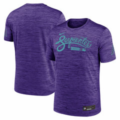 Arizona Diamondbacks Nike Authentic Collection City Connect Velocity Dri-FIT T-Shirt - Purple T-shirts
