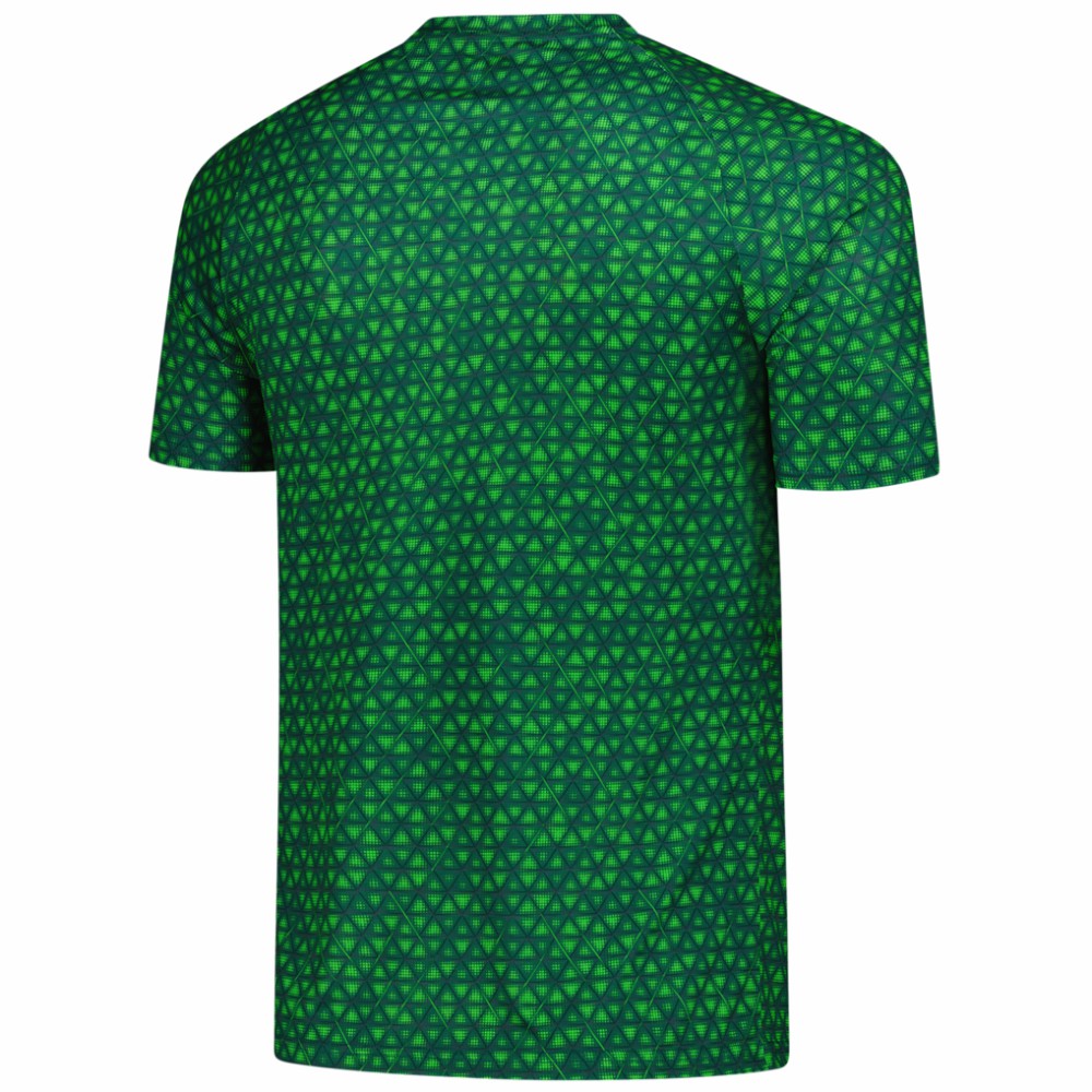 Manchester City 2025/26 Pre-Match Training Jersey Green sale
