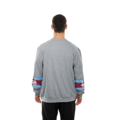 Philadelphia Phillies New Era Sport Classics Sweatshirt - Gray Sweatshirts