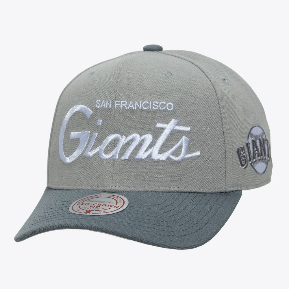 San Francisco Giants Mitchell & Ness Thunderstorm Head Coach Pro-Crown Adjustable Hat - Gray Hats