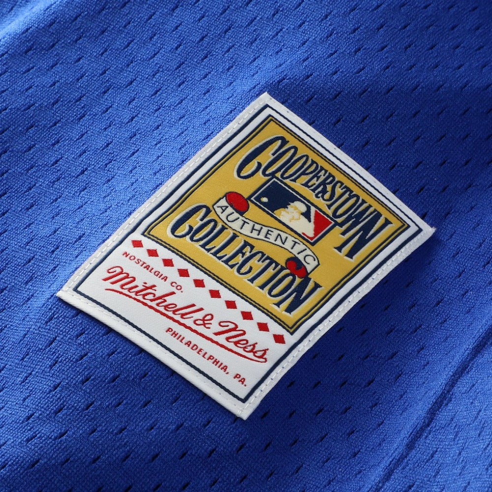 Greg Maddux Chicago Cubs Mitchell & Ness Authentic Batting Practice Jersey - Royal Jerseys