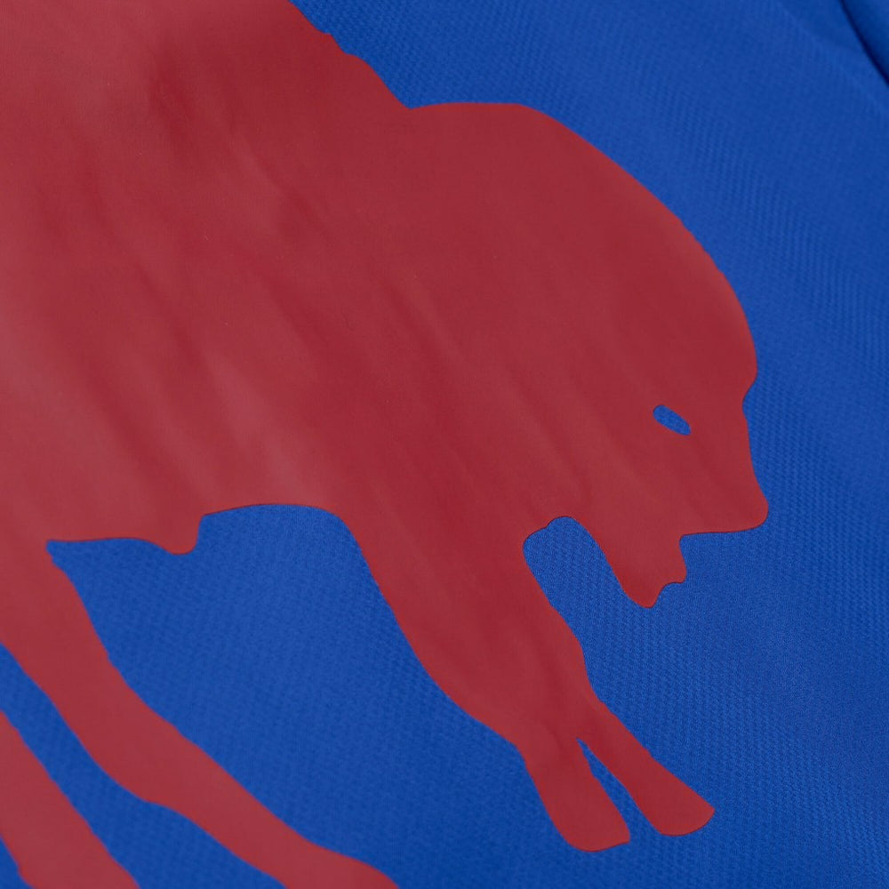 Buffalo Bills Coaches Full-Snap Hooded Windbreaker Jacket Royal