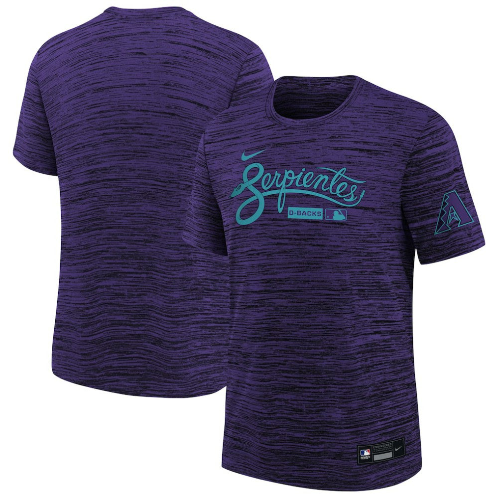 Arizona Diamondbacks Nike Youth Authentic Collection Velocity Dri-FIT T-Shirt - Purple T-shirts