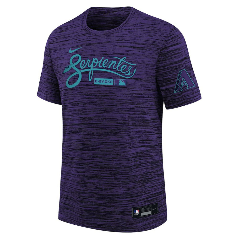 Arizona Diamondbacks Nike Youth Authentic Collection Velocity Dri-FIT T-Shirt - Purple T-shirts