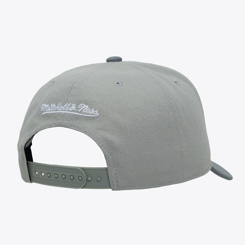 San Antonio Spurs Thunderstorm Head Coach Pro Crown Snapback Hat Gray