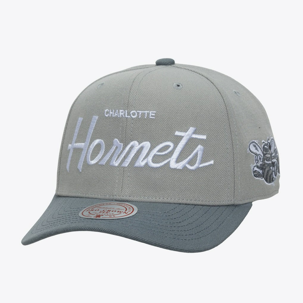 Charlotte Hornets Thunderstorm Head Coach Pro Crown Snapback Hat Gray