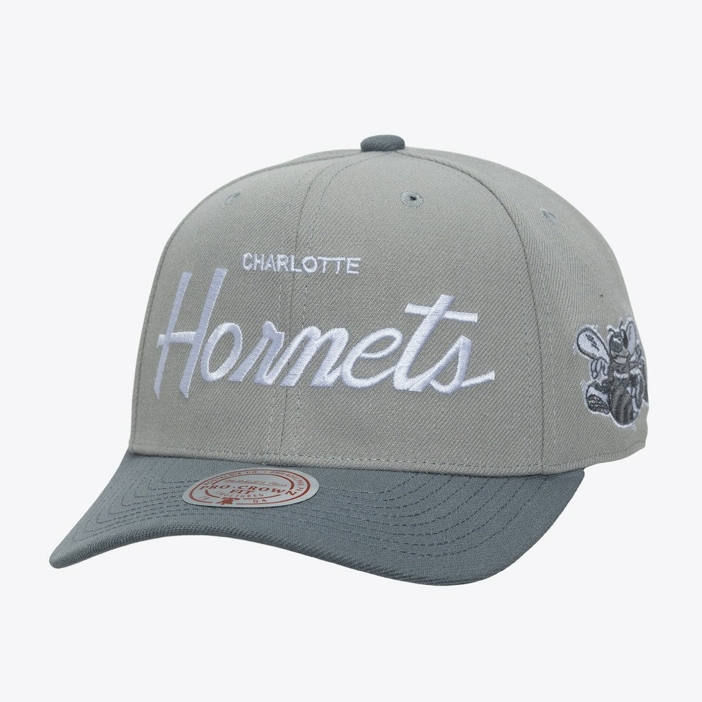 Charlotte Hornets Thunderstorm Head Coach Pro Crown Snapback Hat Gray