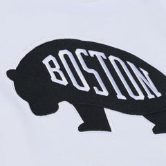 NHL Boston Bruins Mitchell & Ness Arctic Fleece Hoodie - White