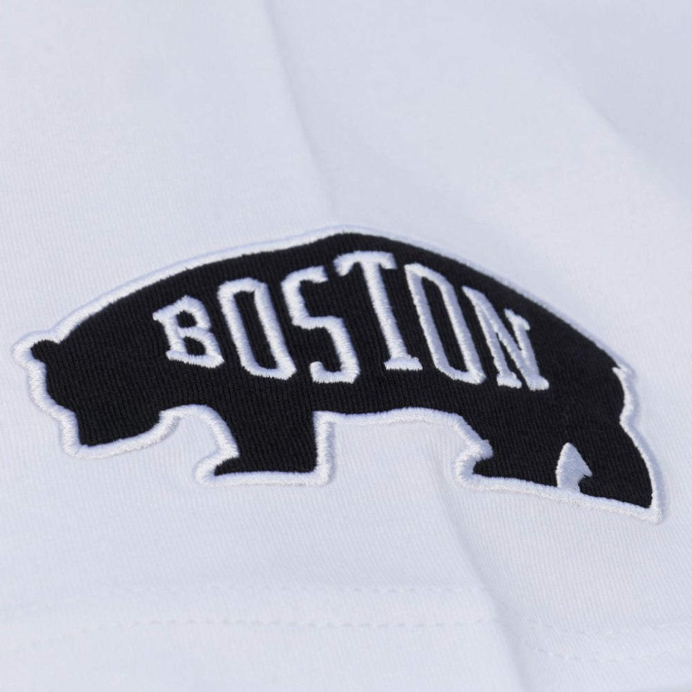 NHL Boston Bruins Mitchell & Ness Arctic T-Shirt- White