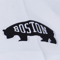 NHL Boston Bruins Mitchell & Ness Arctic T-Shirt- White