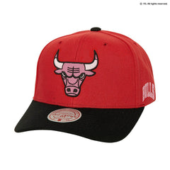 Chicago Bulls x BLACKPINK Pro Crown Snapback Hat Red Limited Edition