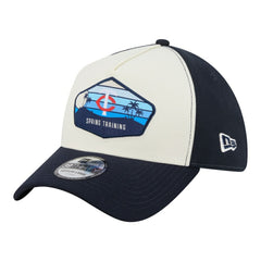 Minnesota Twins New Era 2026 Spring Training Fan Pack Gradient 39THIRTY Flex Hat - Stone Hats
