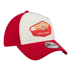 Cincinnati Reds New Era 2026 Spring Training Fan Pack Gradient 39THIRTY Flex Hat - Stone Hats