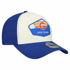 Chicago Cubs New Era 2026 Spring Training Fan Pack Gradient 39THIRTY Flex Hat - Stone/Royal Hats