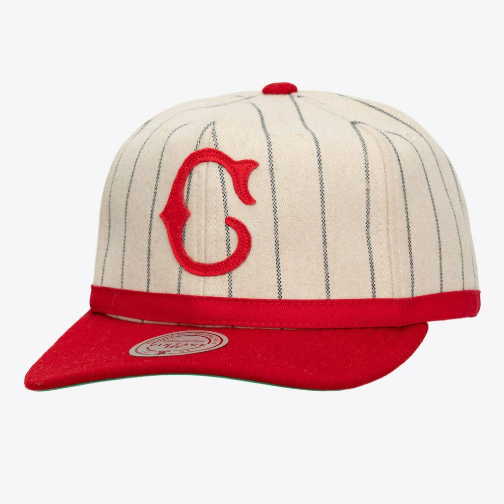 Cincinnati Reds Mitchell & Ness Unisex Vintage Ground Melton Wool Pinstripe Adjustable Hat - Cream Hats