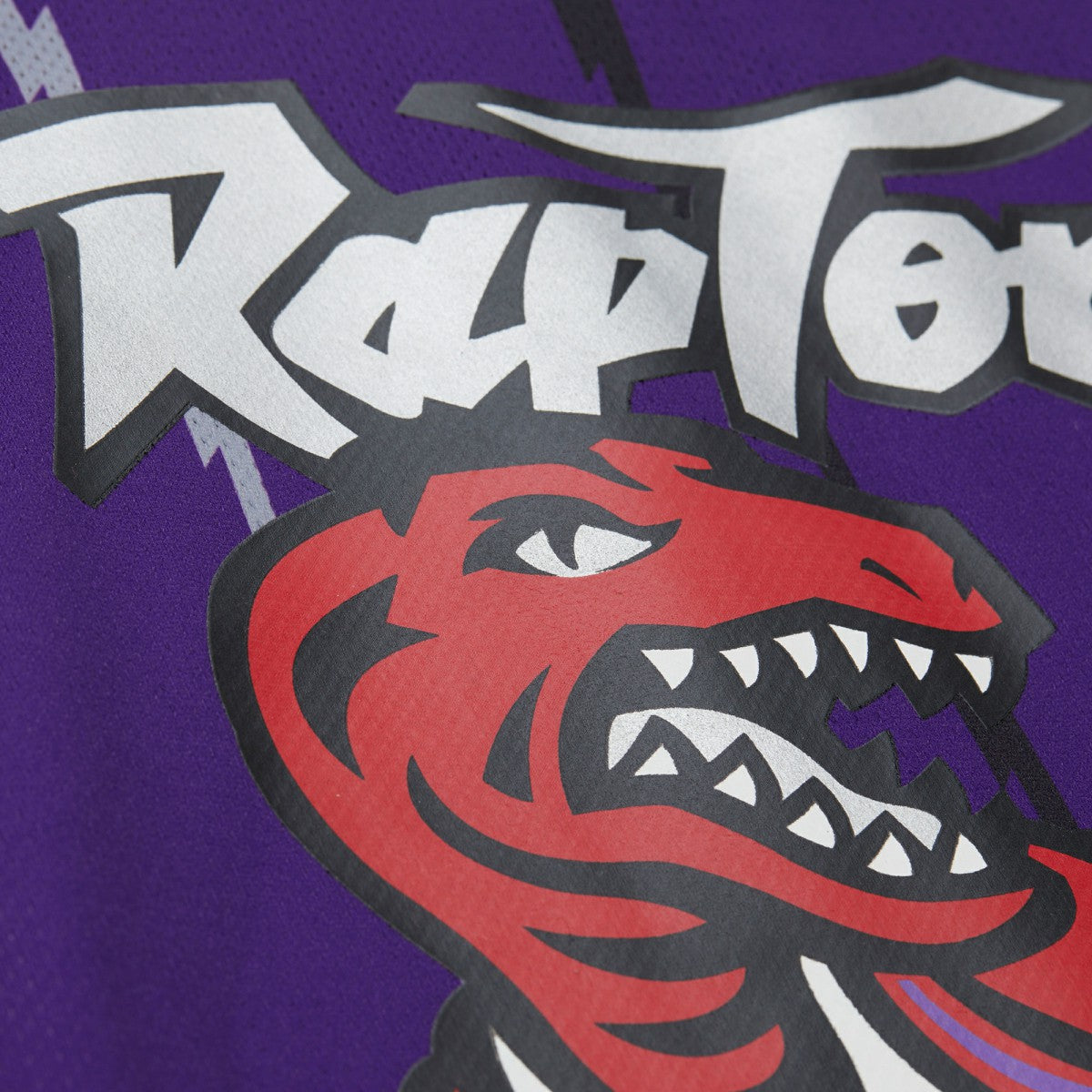 Vince Carter Toronto Raptors Unisex Maxxed Out Fashion Hockey Jersey Purple