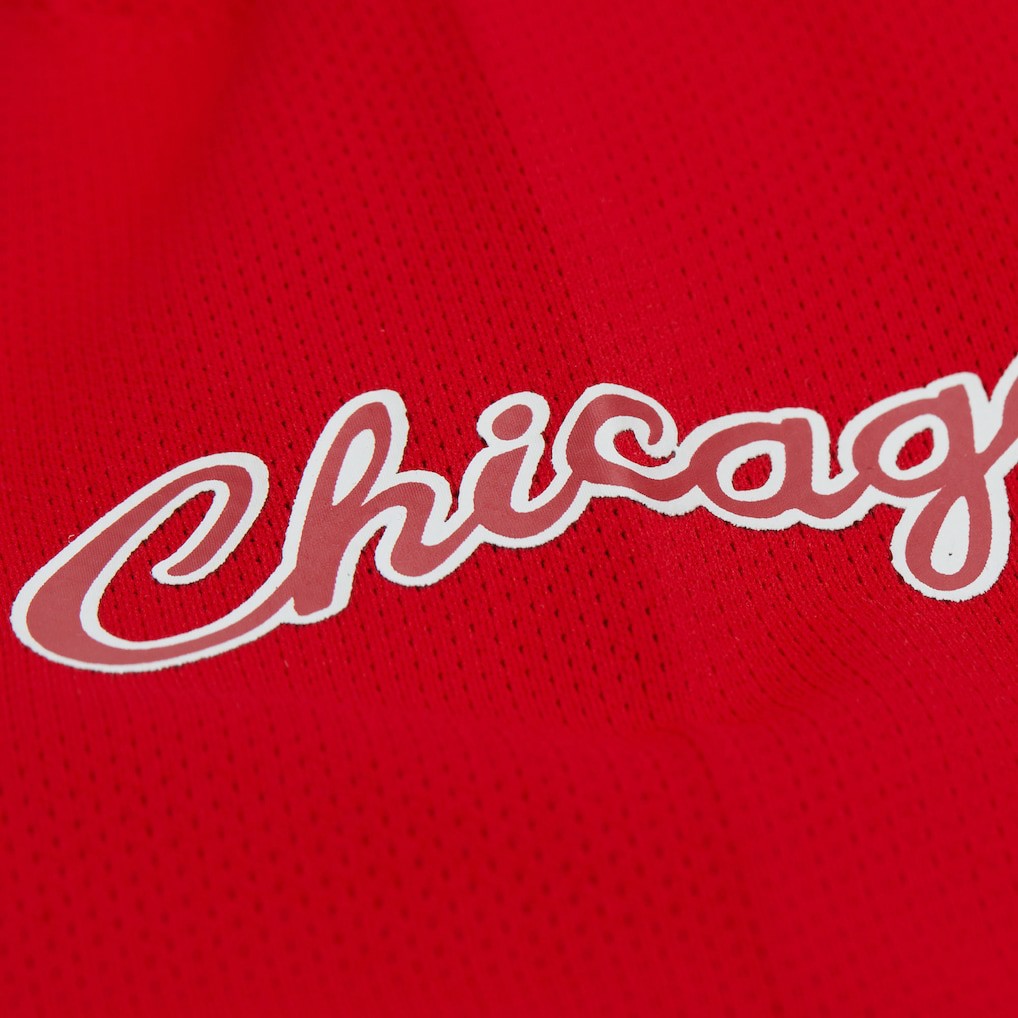 Dennis Rodman Chicago Bulls Unisex Maxxed Out Fashion Hockey Jersey Red