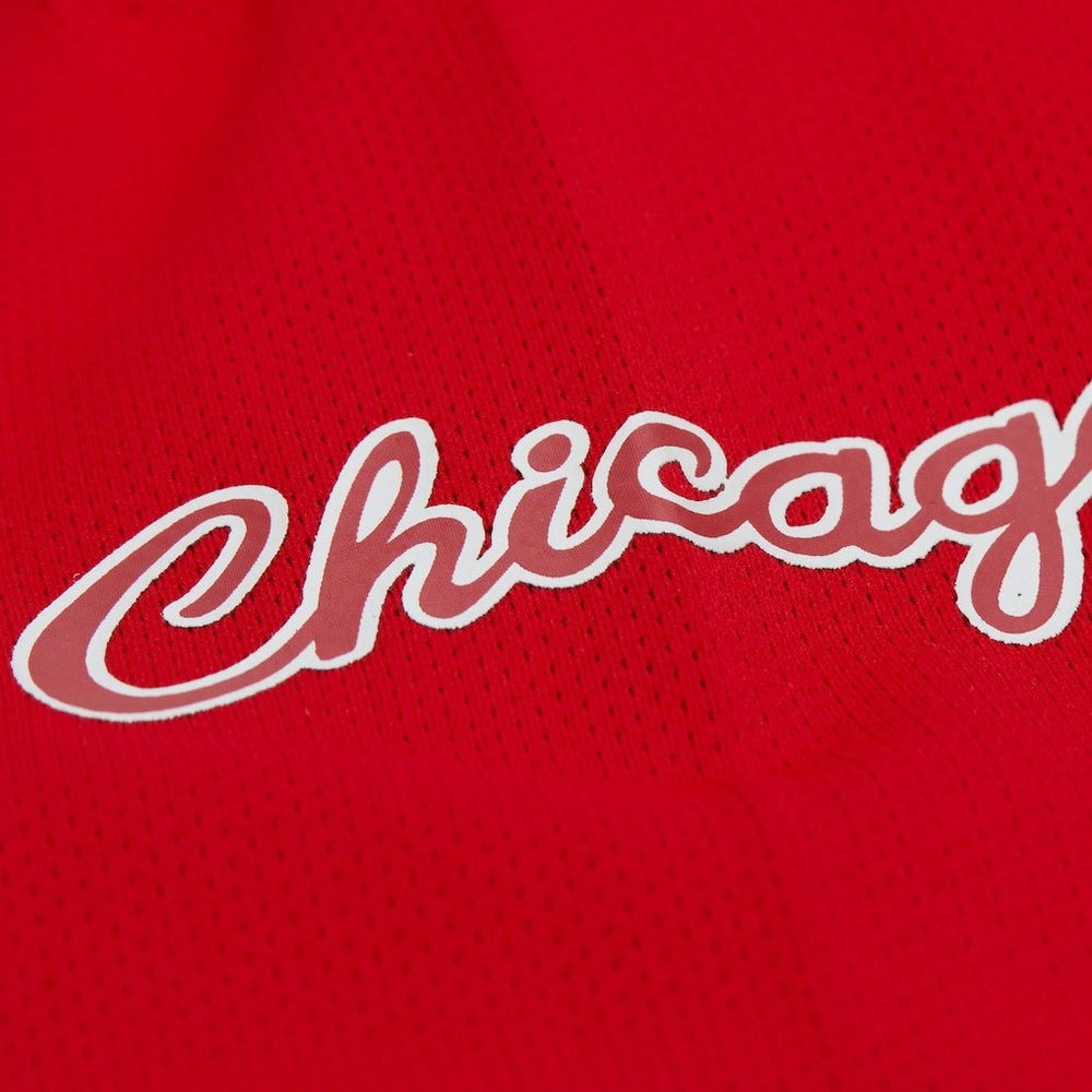 Dennis Rodman Chicago Bulls Unisex Maxxed Out Fashion Hockey Jersey Red