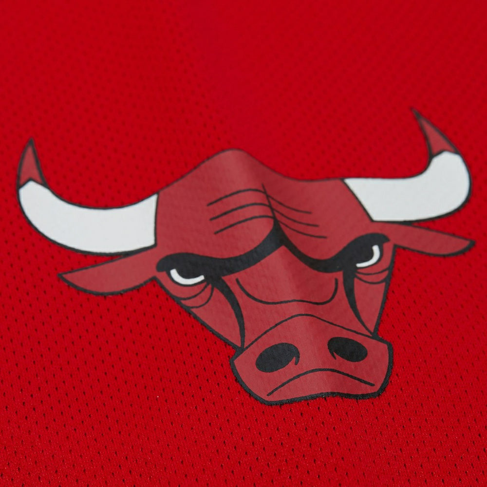 Dennis Rodman Chicago Bulls Unisex Maxxed Out Fashion Hockey Jersey Red