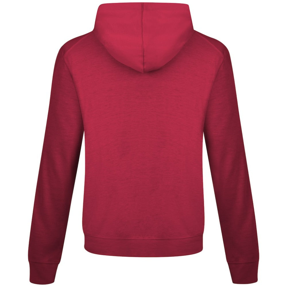 Boston Red Sox Levelwear Relay Banner Arch Pullover Hoodie - Red Hoodies