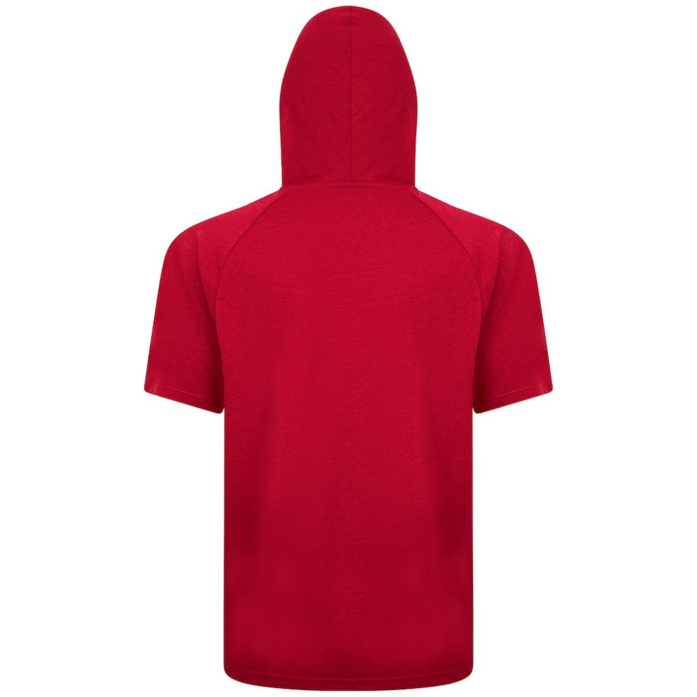 Boston Red Sox Levelwear Phase Banner Arch Hoodie T-Shirt - Red Hoodies