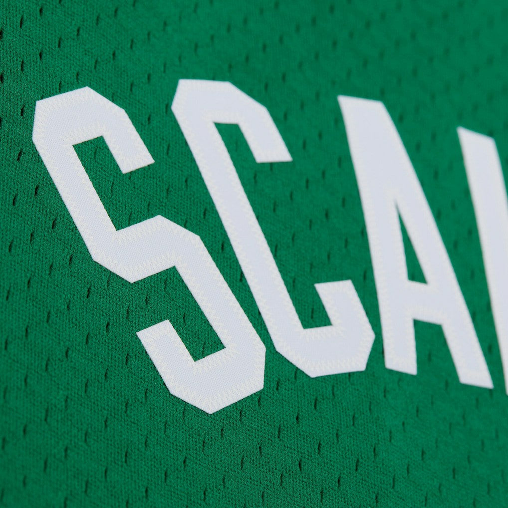 Brian Scalabrine Boston Celtics 2007/08 Hardwood Classics Swingman Jersey Kelly Green
