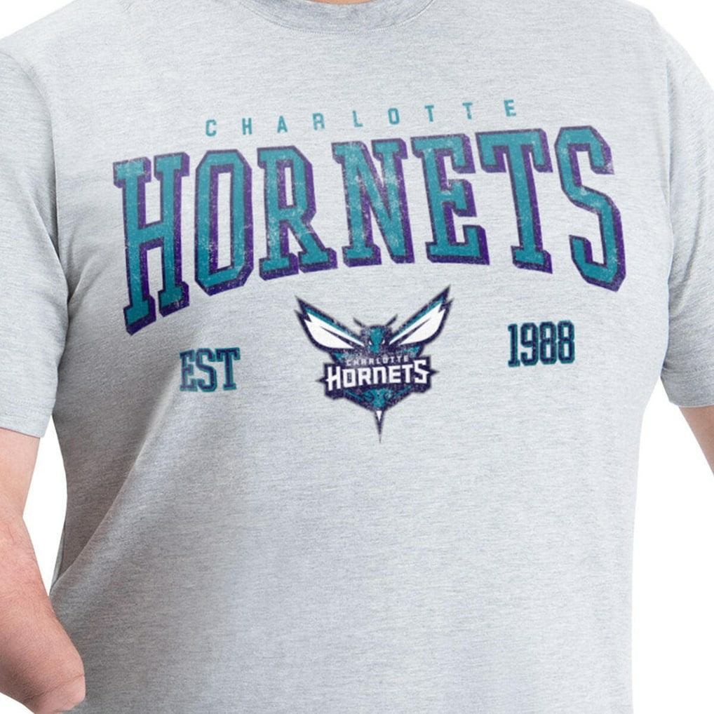 Charlotte Hornets G-III Sports by Carl Banks Adaptive Classic Team Spirit Short Sleeve T-Shirt Gray