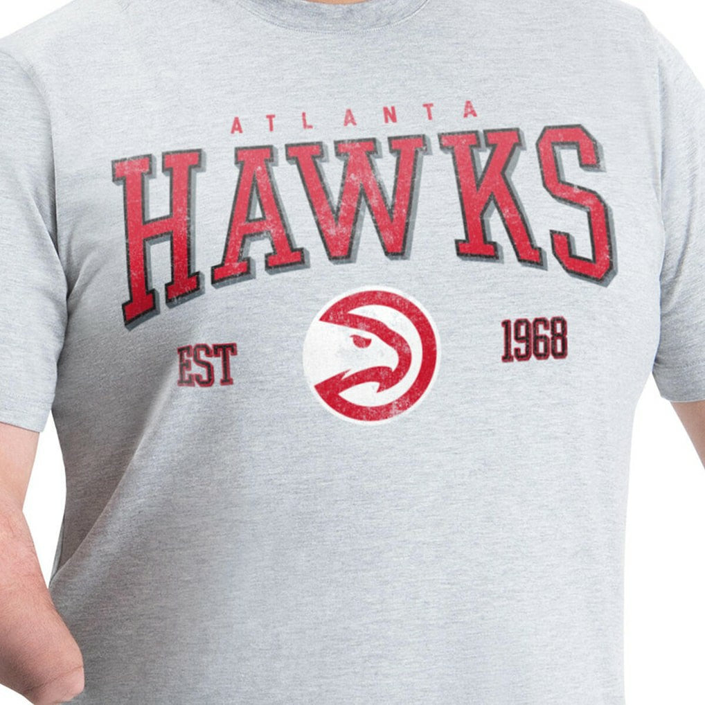 Atlanta Hawks G-III Sports by Carl Banks Adaptive Classic Team Spirit Short Sleeve T-Shirt Gray