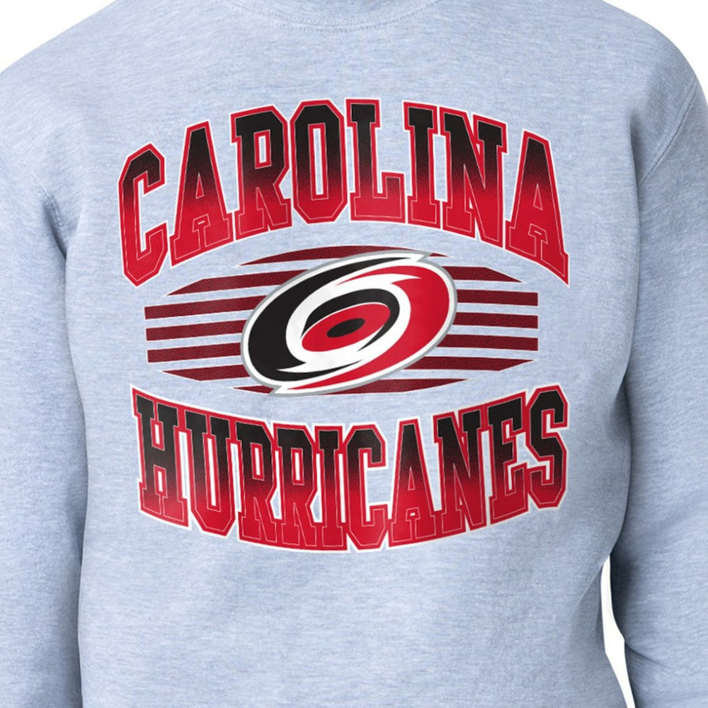 NHL Carolina Hurricanes Starter Team Grit Graphic Fleece Pullover Sweatshirt - Gray