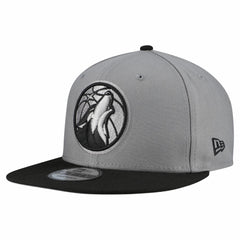 Minnesota Timberwolves Core Logo Storm Gray Two-Tone 9FIFTY Snapback Hat Gray