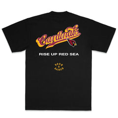 Arizona Cardinals Born x Raised Unisex Pro Script T-Shirt Black