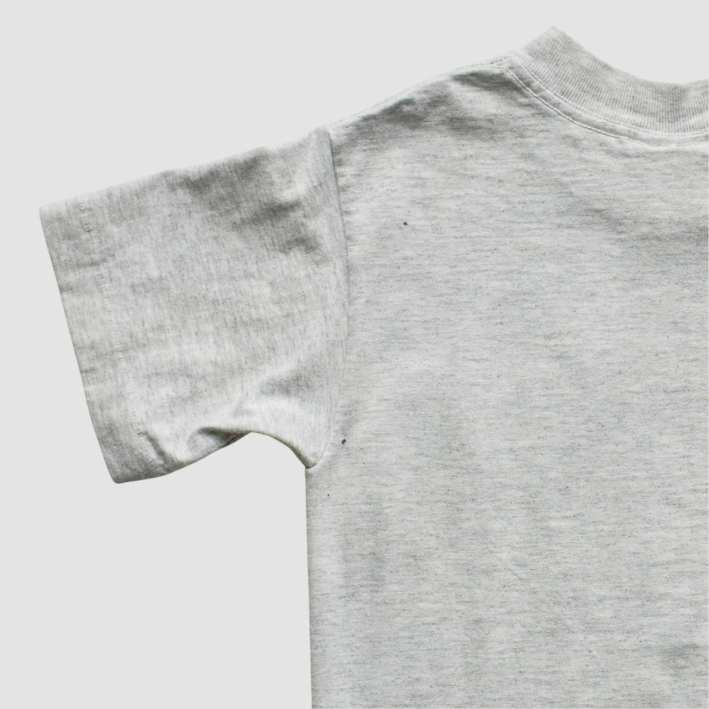 New York Giants Nutmeg Mills 90s T-Shirt Heather Gray Vintage