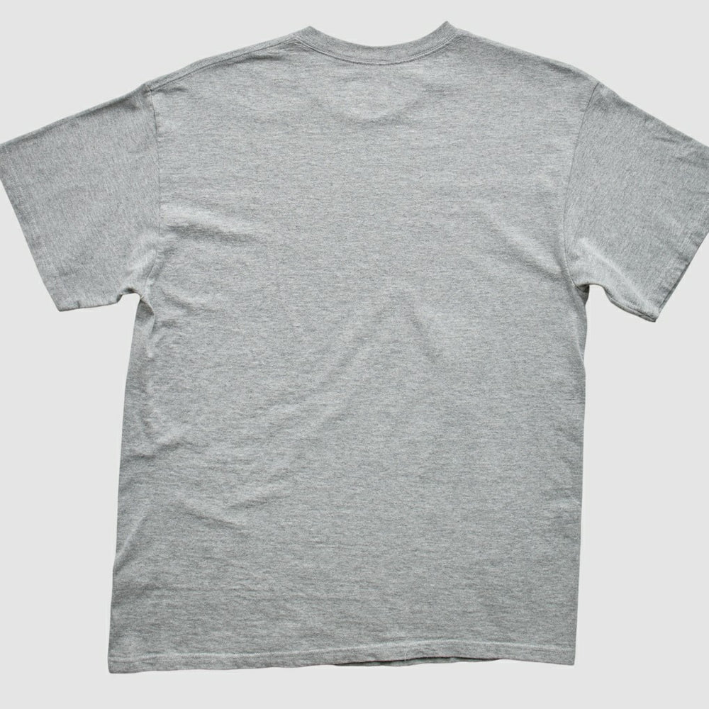 Indianapolis Colts 2010s T-Shirt Gray Vintage
